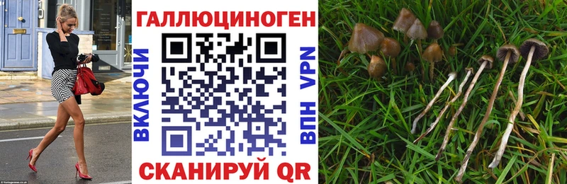 купить закладку  Орск  Галлюциногенные грибы мицелий 